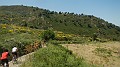 DSCN3324