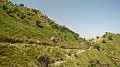 DSCN3331