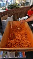 DSCN3342