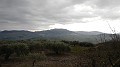 DSCN0457