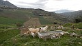DSCN0460