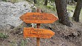 DSCN0501