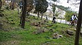DSCN0508