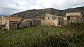 DSCN0553