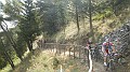 DSCN3411