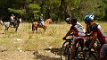 DSCN3435