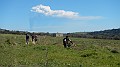 DSCN1604