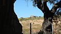 DSCN1622