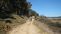 DSCN1485