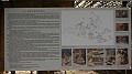 DSCN1252