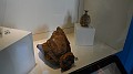 DSCN1268