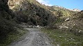 DSCN1284