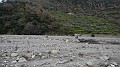 DSCN1288