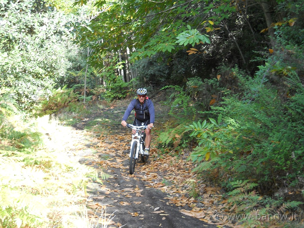 DSCN7849.JPG -           