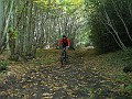 DSCN7861