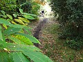 IMG_5048