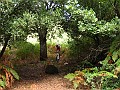 IMG_5068