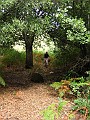 IMG_5070