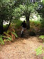 IMG_5071