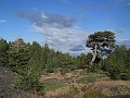 DSCN0135