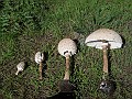 DSCN1465