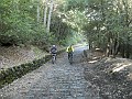 DSCN1466