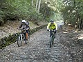 DSCN1467