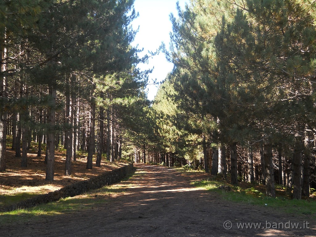 DSCN1408.JPG - Il sentiero che viene dal Rifugio Spagnolo