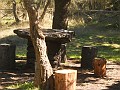 DSCN1399