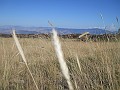 Altomontana_048