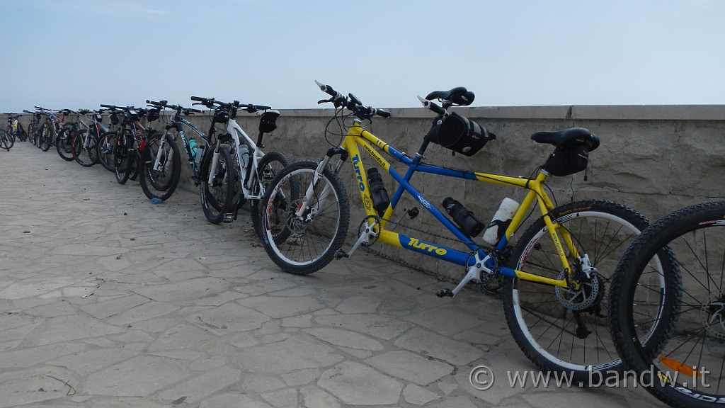 DSCN0478.JPG -                                