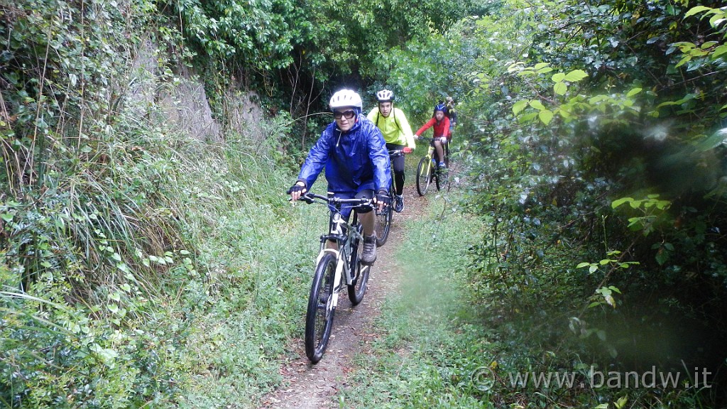 DSCN0930.JPG -                                