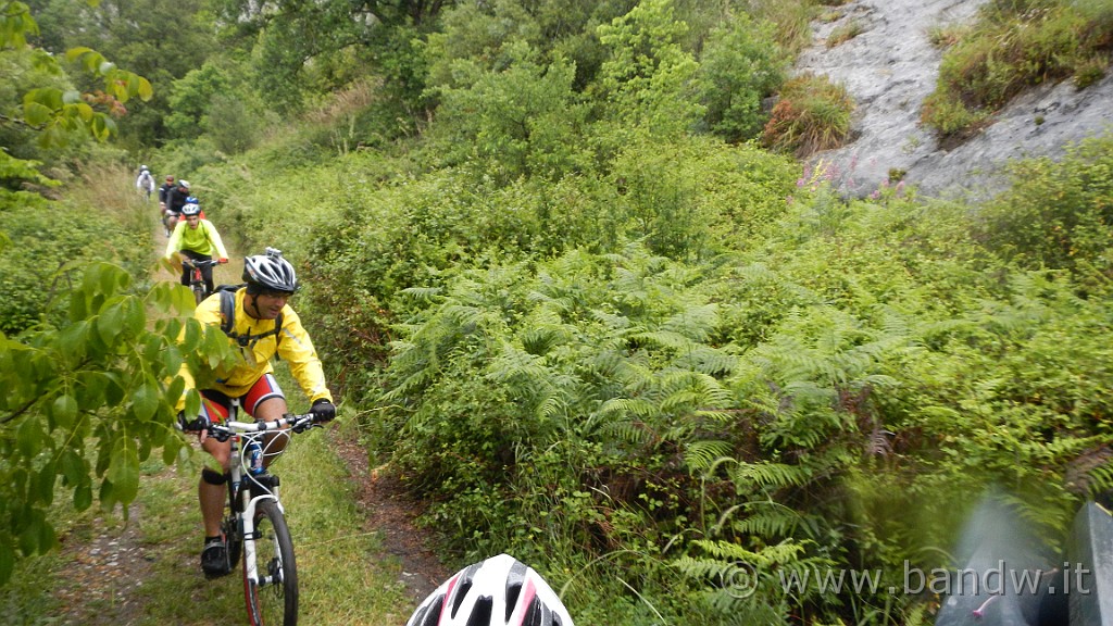 DSCN0935.JPG -                                