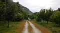 DSCN0917