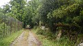 DSCN0921