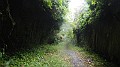 DSCN0929