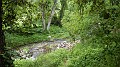DSCN0970