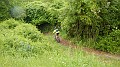 DSCN0974