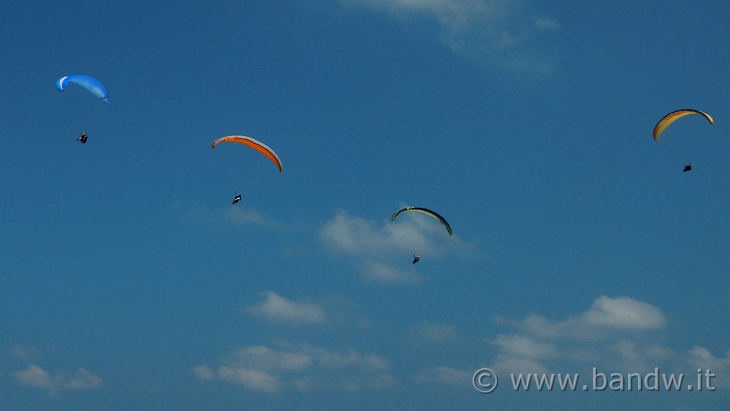 DSCN9206.JPG -                                