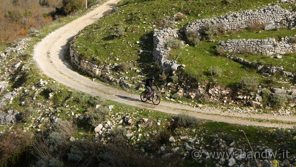 DSCN7781.JPG -                                