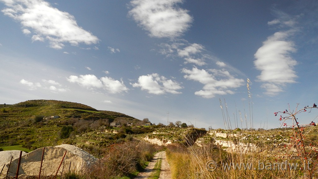 DSCN7782.JPG -                                