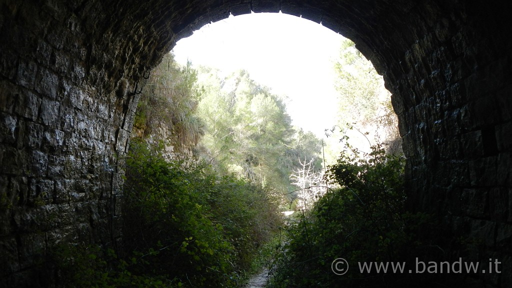 DSCN7783.JPG -                                