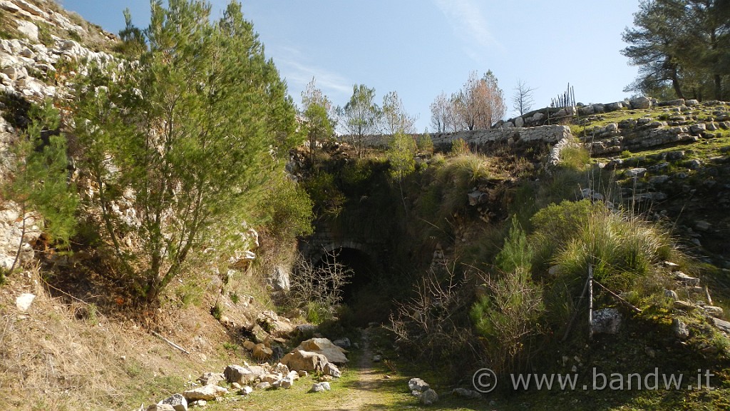 DSCN7784.JPG -                                