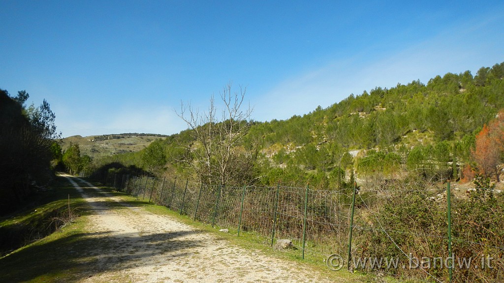 DSCN7785.JPG -                                
