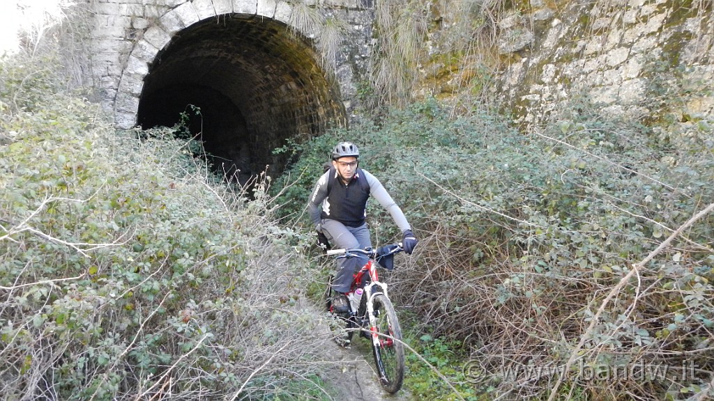 DSCN7788.JPG -                                
