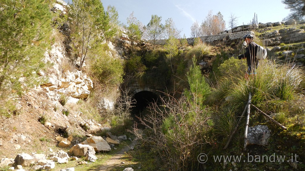 DSCN7789.JPG -                                