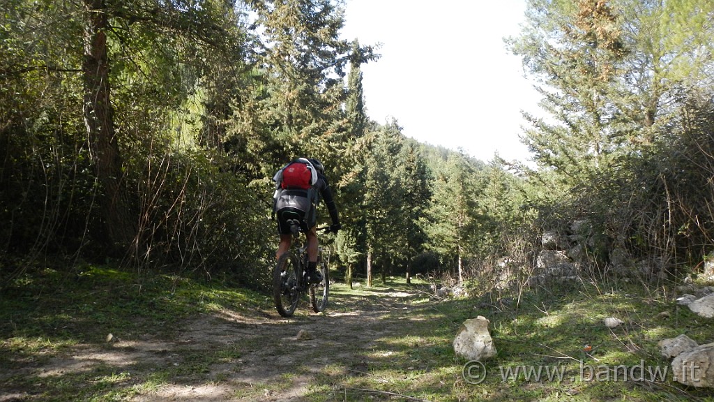 DSCN7792.JPG -                                