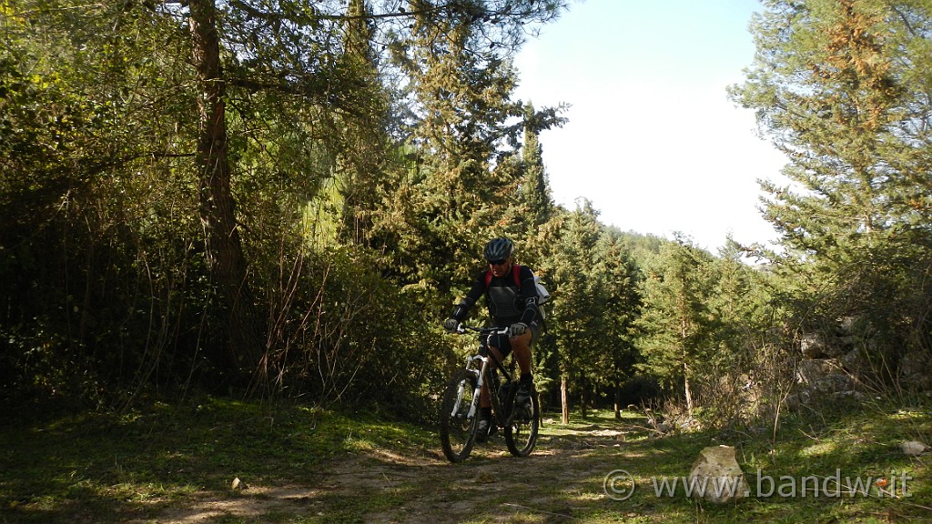 DSCN7795.JPG -                                