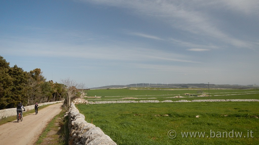 DSCN7799.JPG -                                