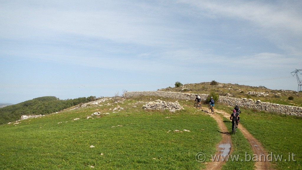 DSCN7807.JPG -                                